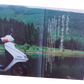 Brochure publicitaire japonaise Honda Freeway