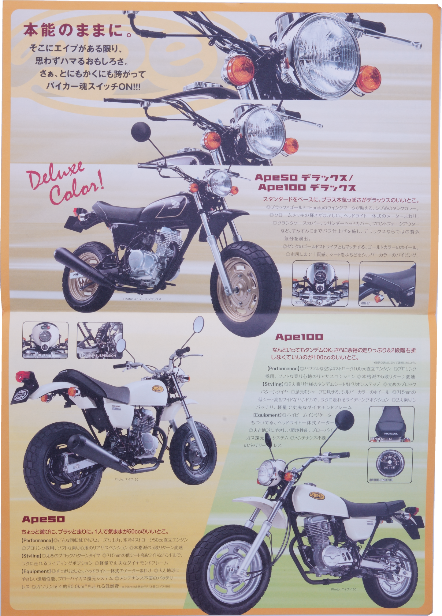 Brochure publicitaire japonaise Honda APE custom